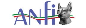 logo_anfi_hi_res-picc-picc-ok